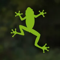 Living Rainforest Explorer
